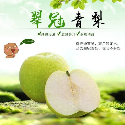 襄樊 翠冠梨
