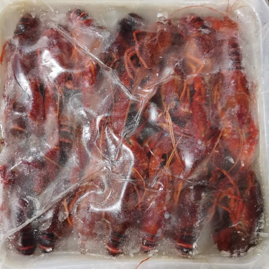 佛山冻小龙虾 6－8麻辣