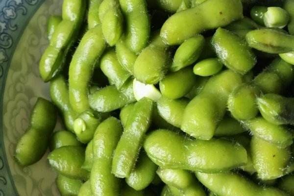 新沂市 青毛豆待售