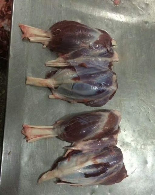 商丘猪肉类  大猪后腱