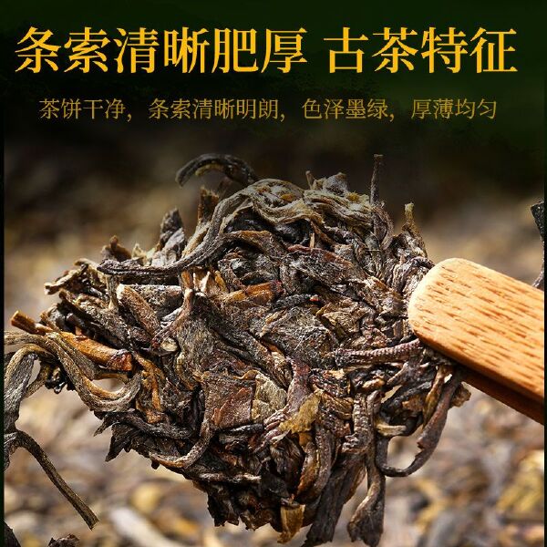 7饼整提购2499g普洱茶生茶春茶云南七子饼茶叶 深山古树茶