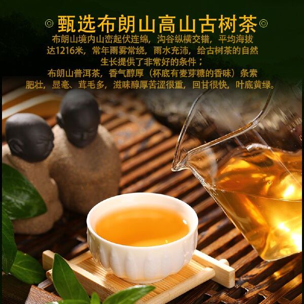 7饼整提购2499g普洱茶生茶春茶云南七子饼茶叶 深山古树茶