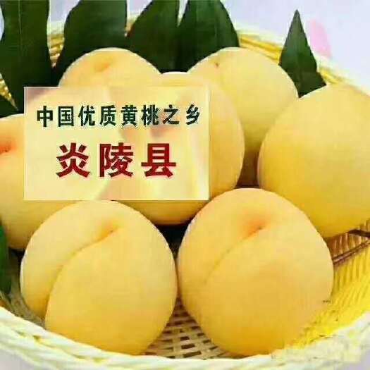 炎陵县 炎陵锦绣黄桃