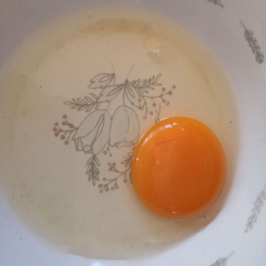 宁德土鸡蛋 食用 散装