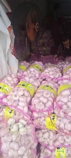 周口淮阳 全干大蒜 大量供应 品质保证，只做精品好货专业代办