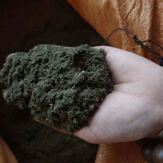 上林县 艾草