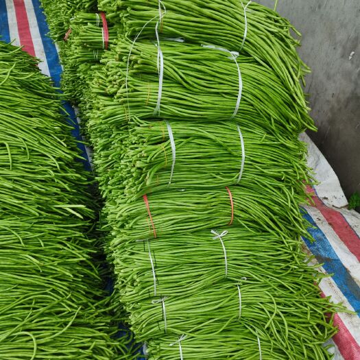 钟祥市架豆角 质量好，品质优，量大，