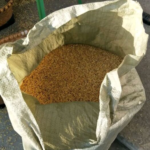 桐梓县稻花香大米 二等品 一季稻 籼米