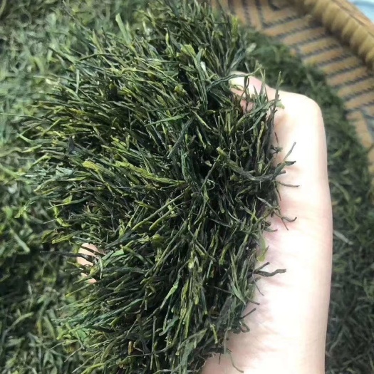 建始县 恩施玉露茶叶无中间差价，30块一两