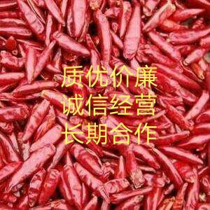 巨野县 火辣的干辣椒，