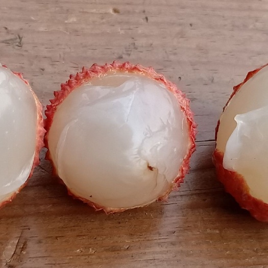 北流市桂味荔枝 2cm