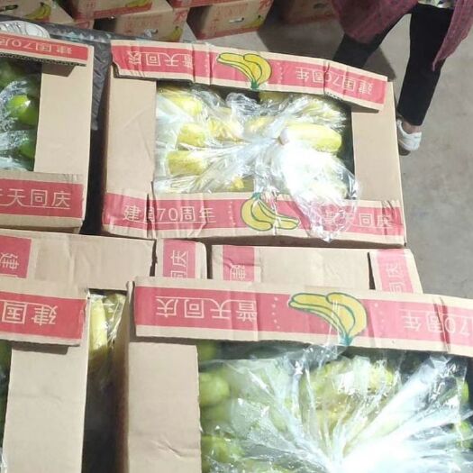 魏县海南蕉 保证质量，质量三包