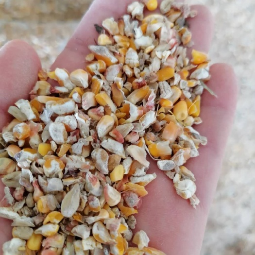 西华县 玉米漏  玉米芯  玉米粉