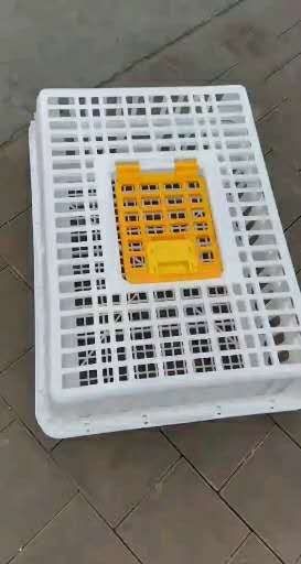 邢台 鸡笼子周转箱 包邮43