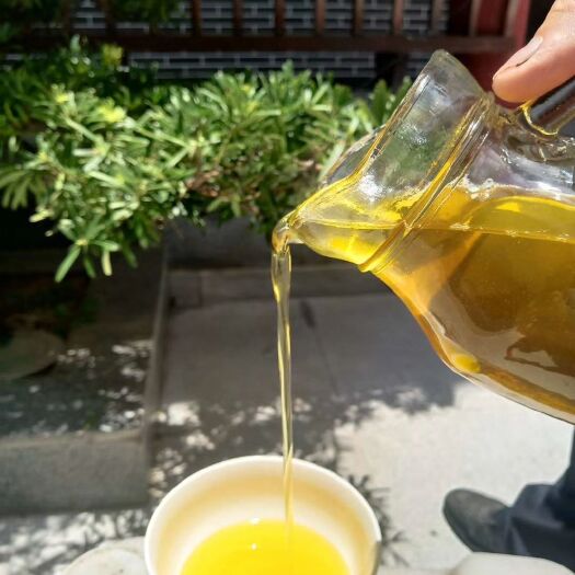 惠东县 纯正压榨山茶油苦茶油茶籽油健康油