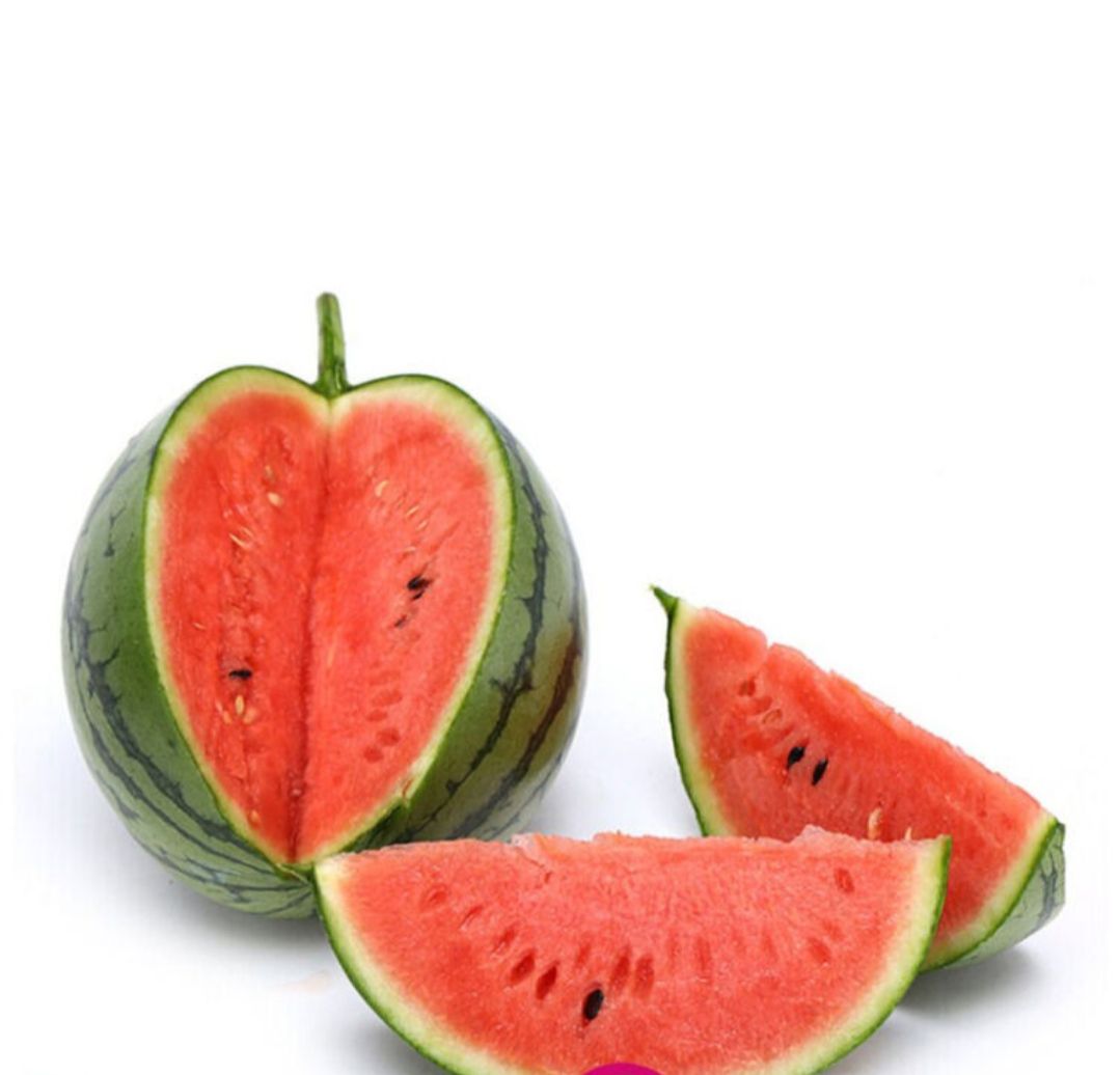 [甜王西瓜批发] 大量西瓜出售,看到的客商尽快联系,农民都哭了想zs 了