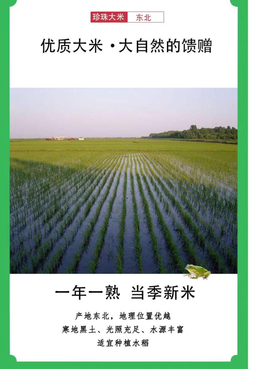  胡姬花珍珠大米2.5kg 黑龙江大米 优质东北大米 真空包装