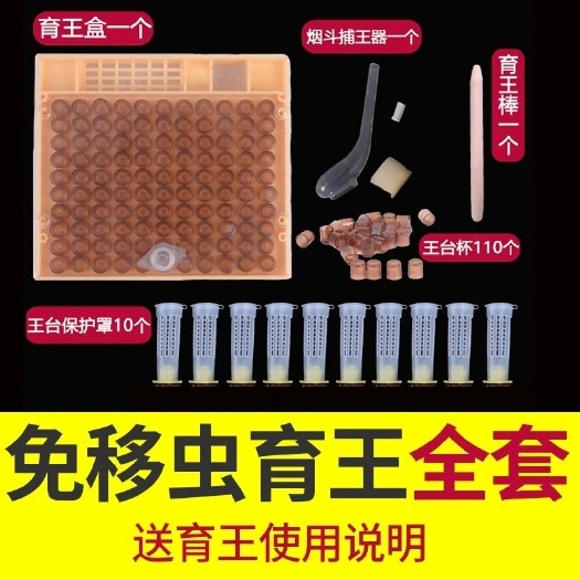 长葛市育王器 免移虫育王盒套餐快速培育蜂王蜜蜂育王套餐蜂王培育王框