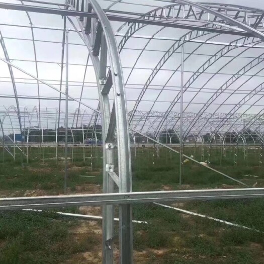 泊头市蔬菜大棚 双膜骨架大棚