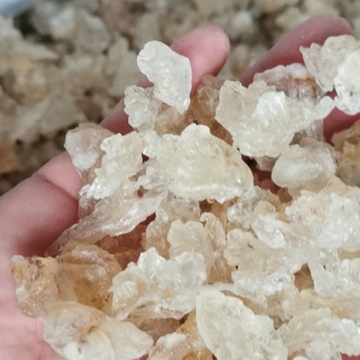 瑞丽市缅甸拉丝雪燕 4A~B货 大货批发
