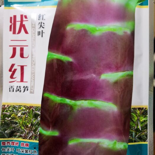 武汉莴笋种子  耐寒红尖叶莴苣种子抗病高产香莴笋