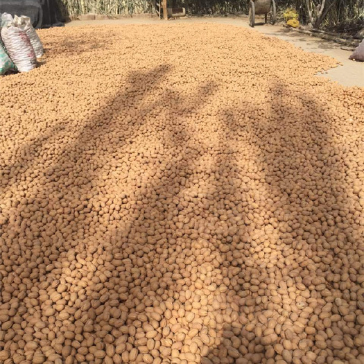 华宁县秋子核桃 26~30mm 袋装 6-12个月