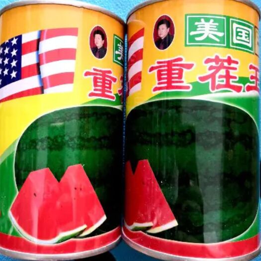 美国重茬西瓜种子 自然西瓜好味道 老西瓜味 好吃地道