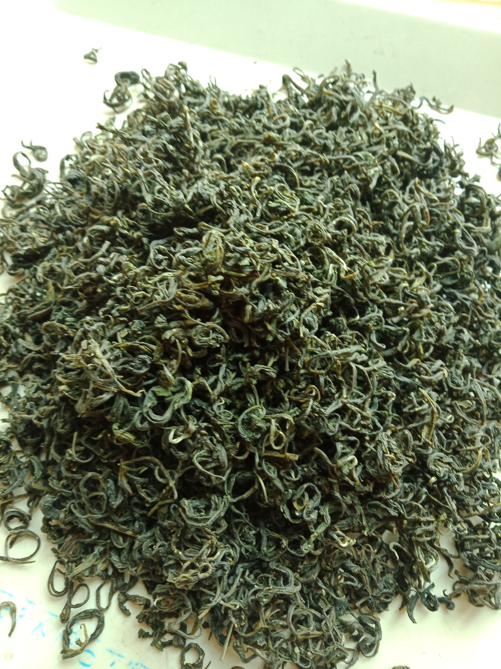 炒青茶 茶春茶醇香甘味（500g）