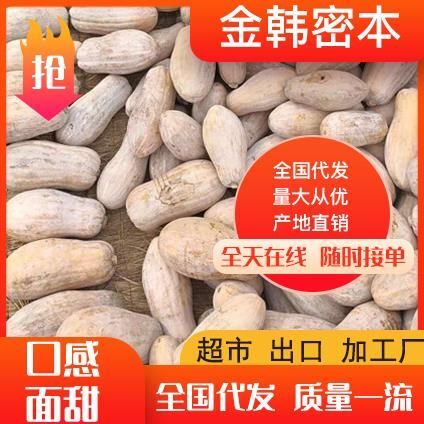 隆安县 广西密本南瓜大量供应，常年发货南瓜