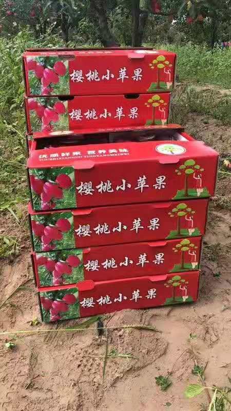 鸡心果苹果  鸡心果