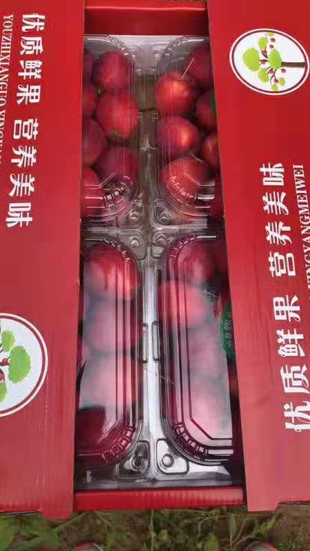 鸡心果苹果  鸡心果
