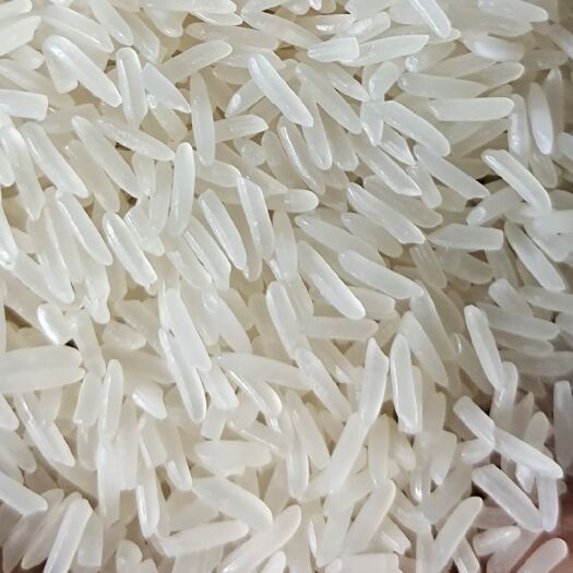 监利市泰优390大米  泰优丝苗