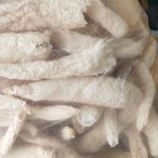 大方县冬荪 干竹荪