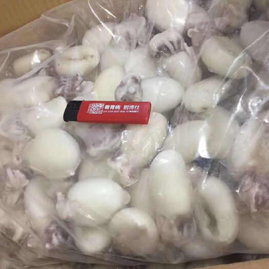 钦州深水墨鱼 品质新鲜，口感脆，味道香多吃不腻
