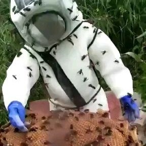 长葛市防蜂服 马蜂服防马蜂衣全套连体透气加厚防蜂衣胡蜂专用防护服捉