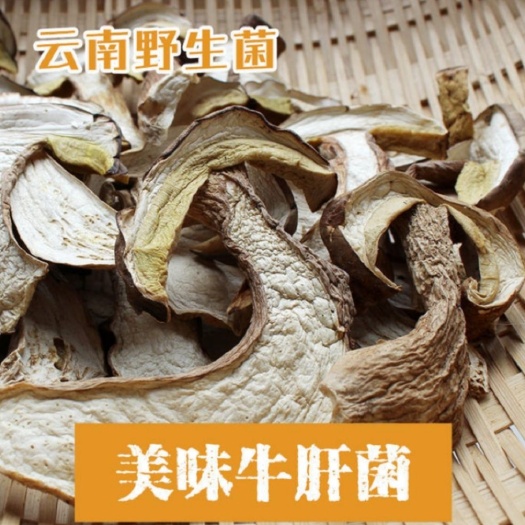 思茅美味牛肝菌，2024 年新货(白牛肝、羊肝菌)！