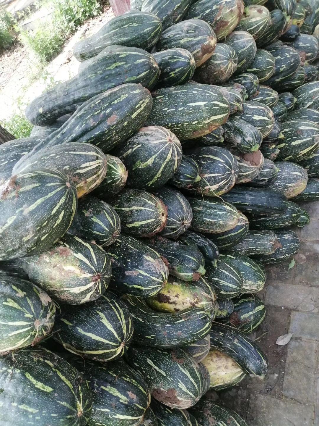 蜜本南瓜，产地直供，大小均匀，颜色好，口感好，欢迎选购