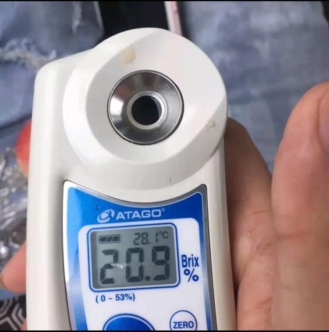 鸡心果苹果  鸡心果
