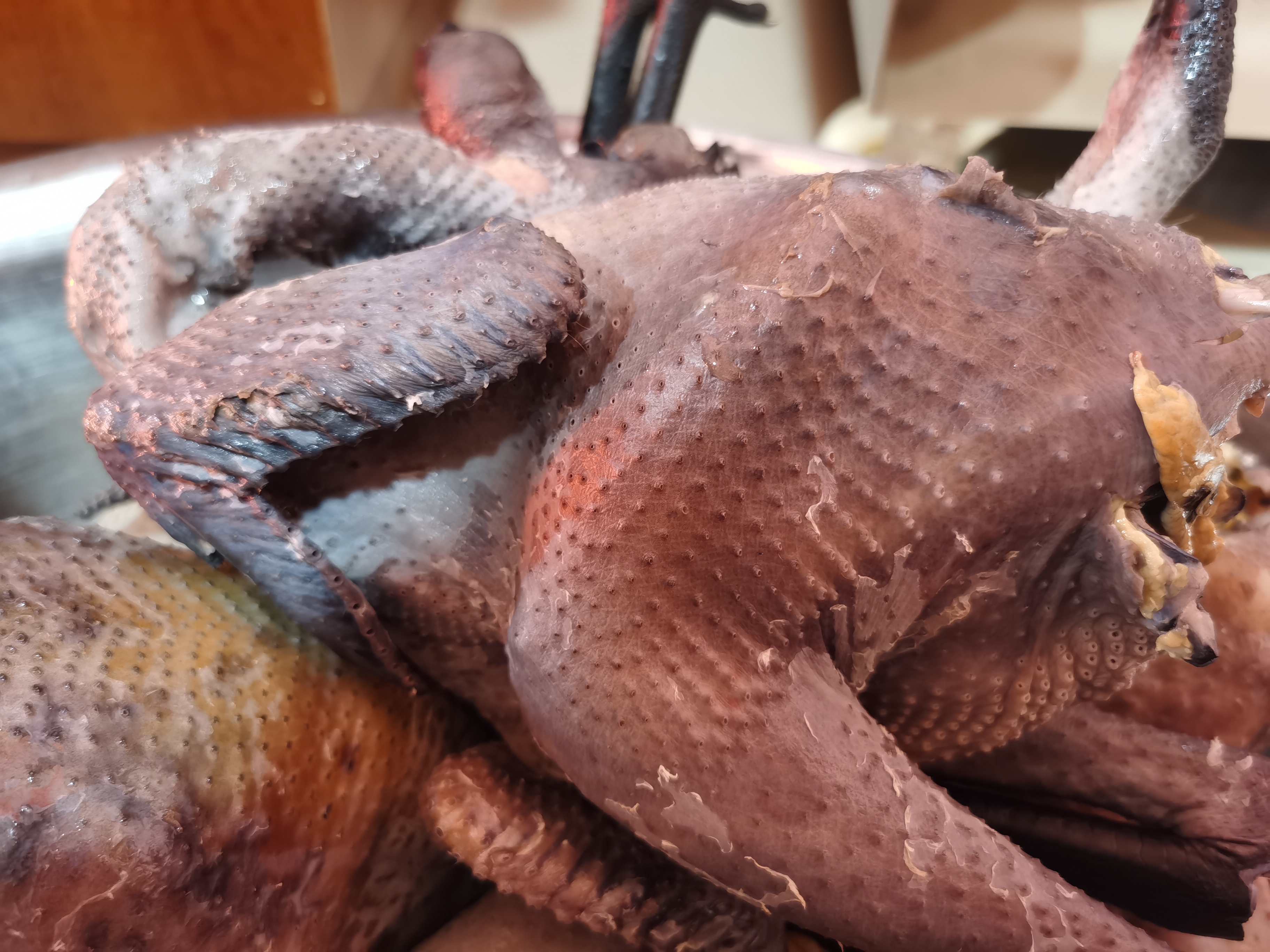 正宗云南镇瓢鸡土鸡茶园跑山鸡孕妇产妇首选,真空冷链包装