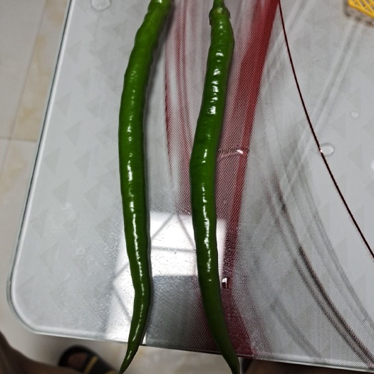 金沙县二荆条辣椒 二荆条青椒