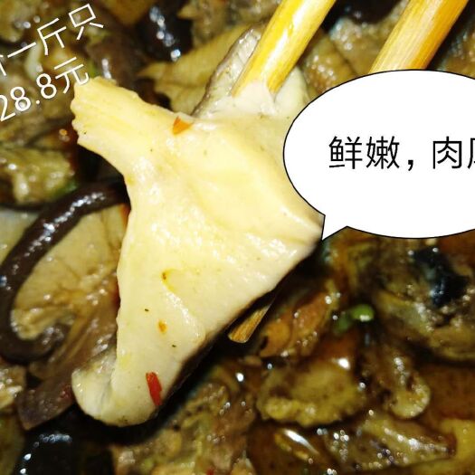  2020年香菇新货远安特产500g