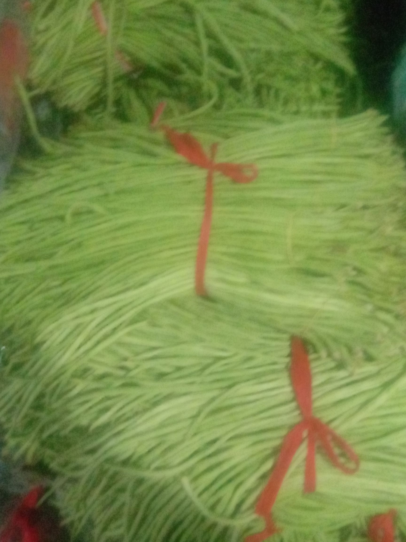长豇豆 精品豇豆，好吃不贵，适合食堂，快餐店使用