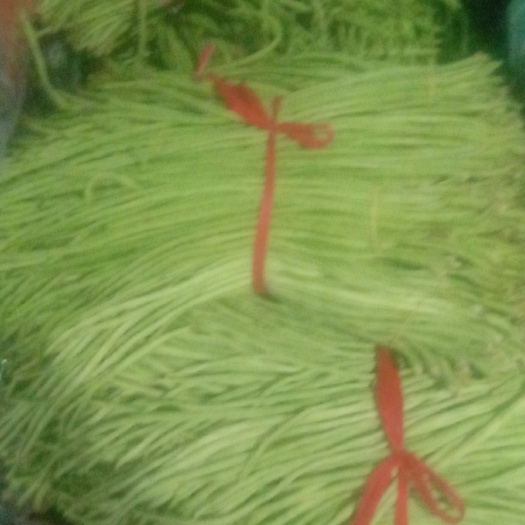 杭州长豇豆 精品豇豆，好吃不贵，适合食堂，快餐店使用