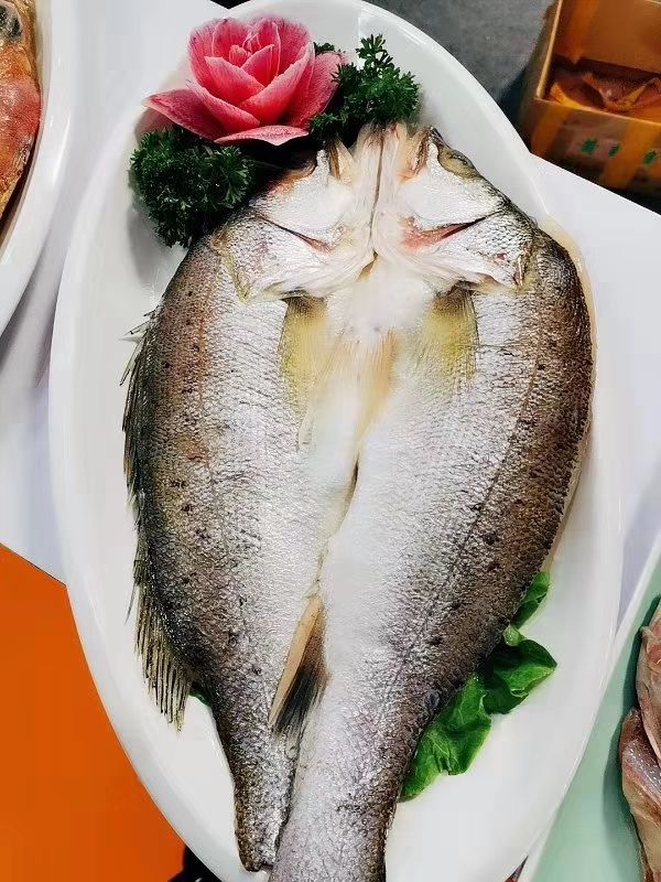 冷冻鲈鱼 厂家自销产品。厂家发货。三开食品欢迎您的到来。各种海产品