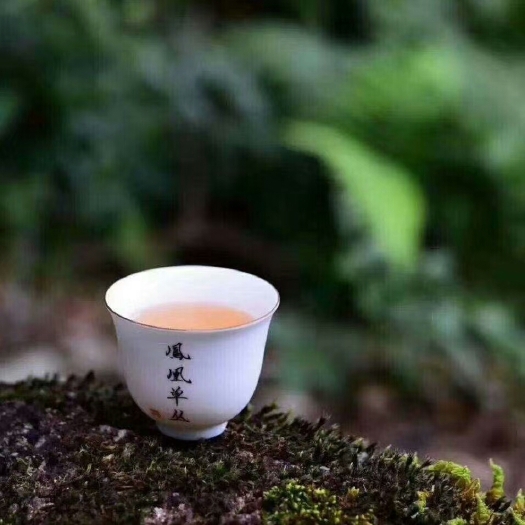 潮州凤凰单枞 潮汕功夫茶，凤凰单丛
