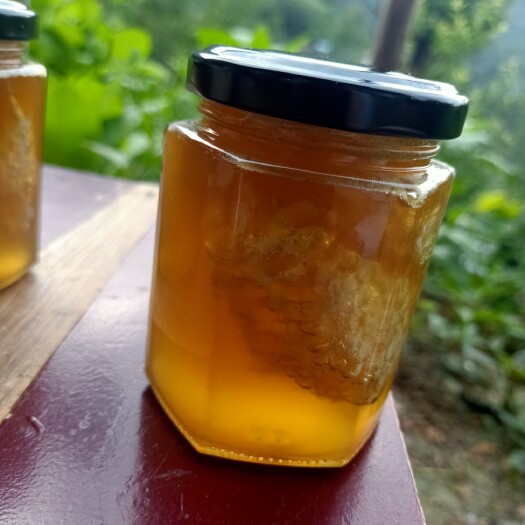 册亨县 大自然中的精品（土蜂蜜）