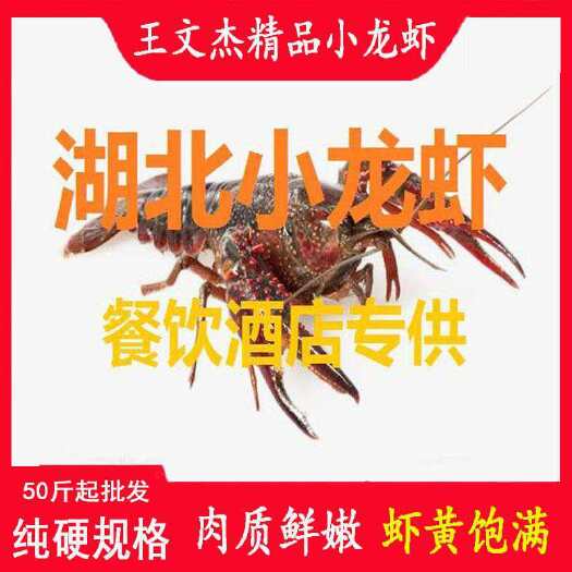 蕲春县 小龙虾
