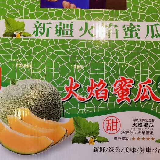 沈阳新疆哈蜜瓜 大量供应批发市场