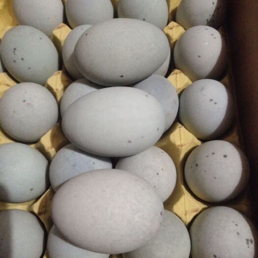 衡阳县松花皮蛋糖心，特大皮蛋30-31斤，180个一箱