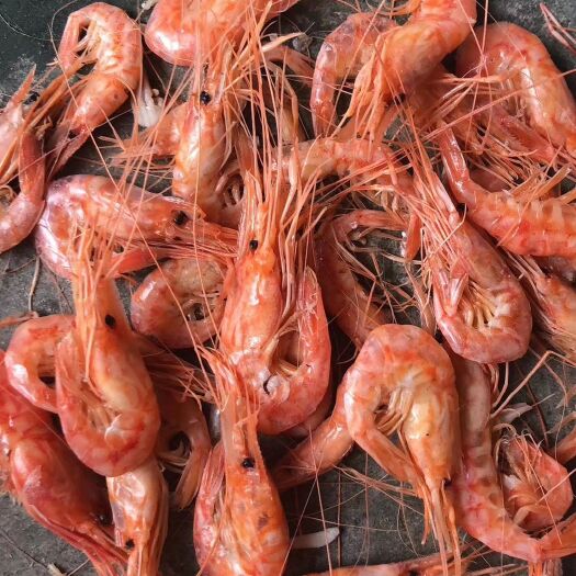 滨州青虾  红虾，元宝虾，油炸原料，，，